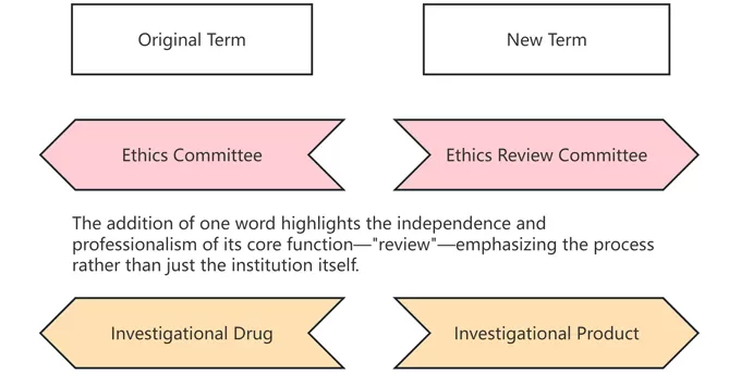 GCP Insights · Seven-Day Series | Is the 'Ethics Committee' Being Phased Out? 6 New Must-Know Terms for Day 1 (DAY 2)