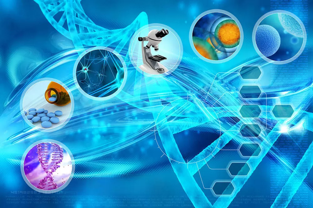 biostatistics services biostatistics services