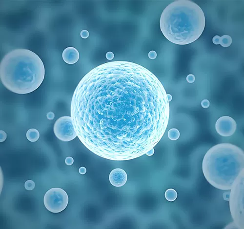 Cell & Gene Therapy (CGT)