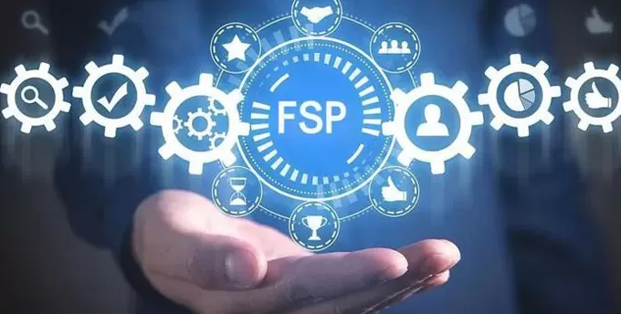Functional Service Provider (FSP) Services