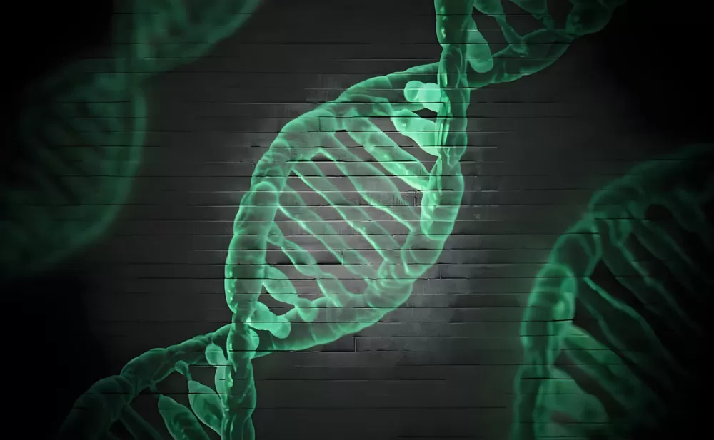 global biometrics excellence a decade long partnership driving pharmaceutical success