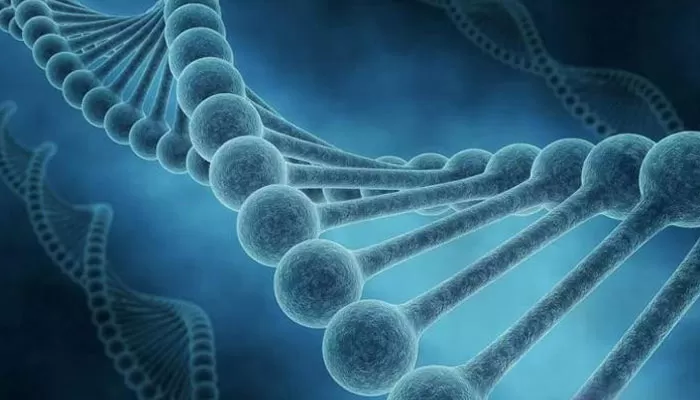 Global Biometrics Excellence: A Decade-Long Partnership Driving Pharmaceutical Success