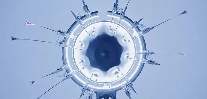 How It Works: Seamless Integration in Four Steps