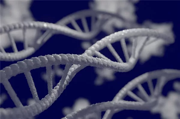 navigating the statistical challenges of rare disease clinical trials