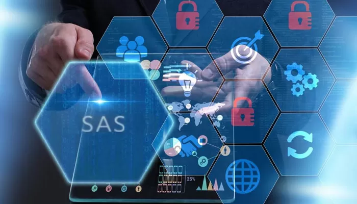 SAS Programming Services